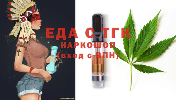 СК Новозыбков
