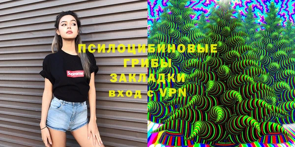 СК Новозыбков