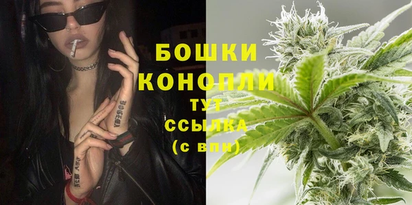 СК Новозыбков