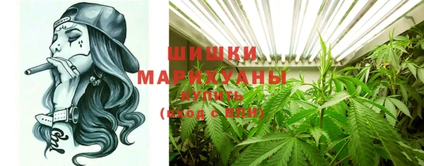 СК Новозыбков