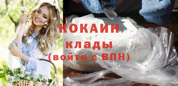 СК Новозыбков