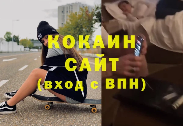 СК Новозыбков