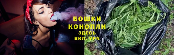 СК Новозыбков