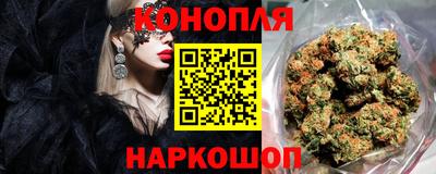 шишки Жуковский