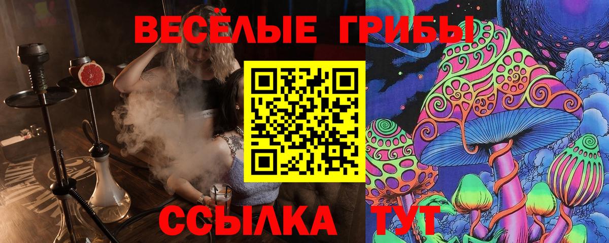 Галлюциногенные грибы прущие грибы Семилуки