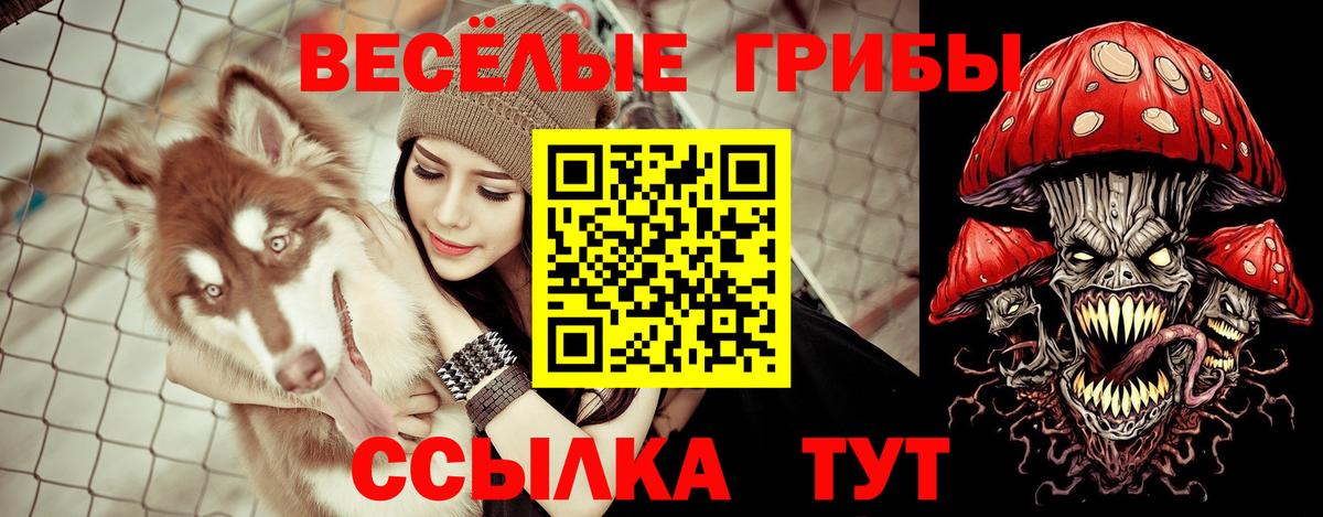 Псилоцибиновые грибы GOLDEN TEACHER  Семилуки  Псилоцибиновые грибы ЛСД 