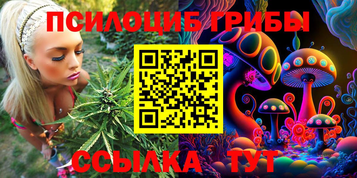 Псилоцибиновые грибы Cubensis Семилуки