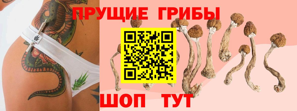 Семилуки  Галлюциногенные грибы мицелий  Вход с VPN  Псилоцибиновые грибы ЛСД 